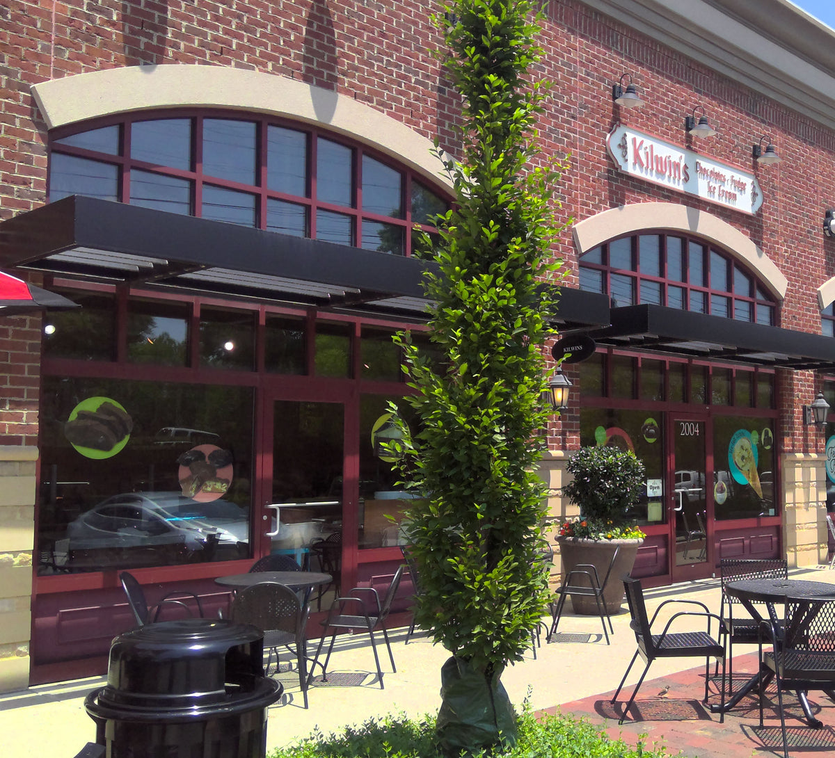 Kilwins Ice Cream & Chocolate Store in Cary