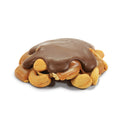Milk Chocolate Cashew Bear Claw