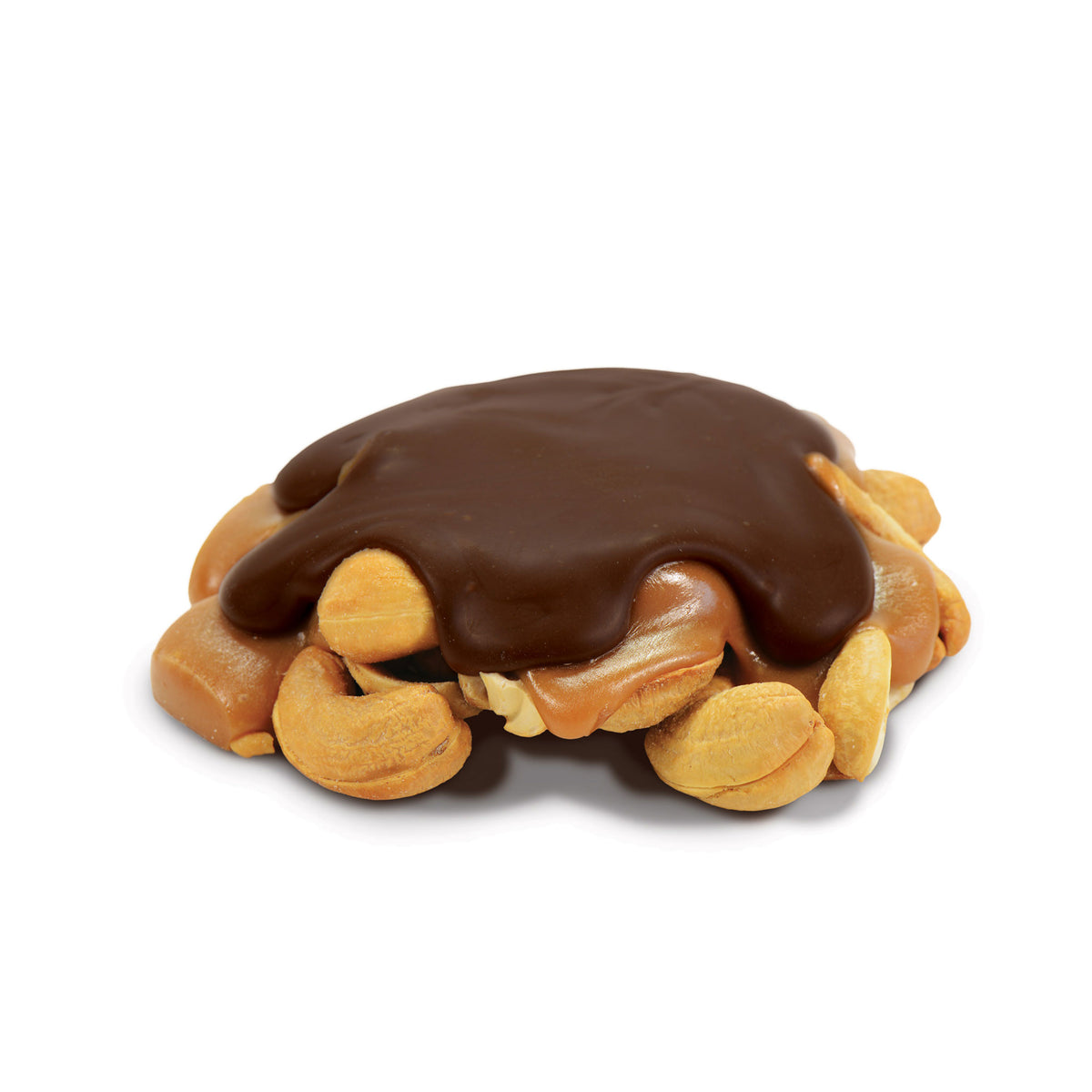 Dark Chocolate Cashew Bear Claw