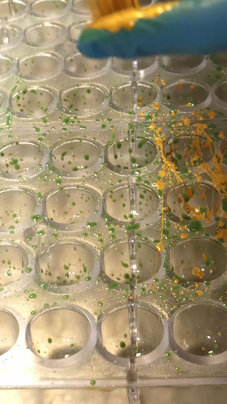 Load video: Dubai chocolate truffle making process