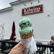 Mint Chocolate Chip in a Waffle Cone