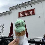 Mint Chocolate Chip in a Waffle Cone