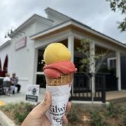 Raspberry and Lemon Sorbetto in a Waffle Cone