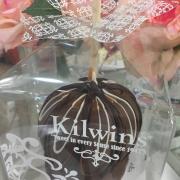 Photo of Chocolate-Dipped Caramel Apple in Box