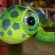 Photo of stuffed turtle