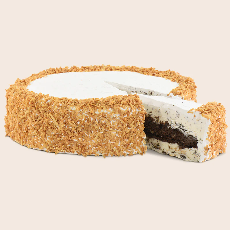 toasted coconut ice cream cake